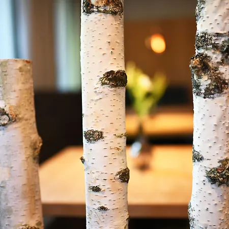 Beethoven Hotel Hinterbruehl