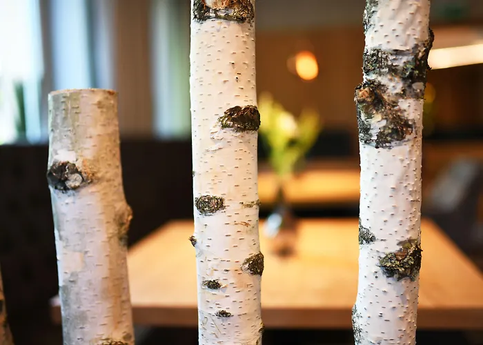 Beethoven Hotel Hinterbruehl